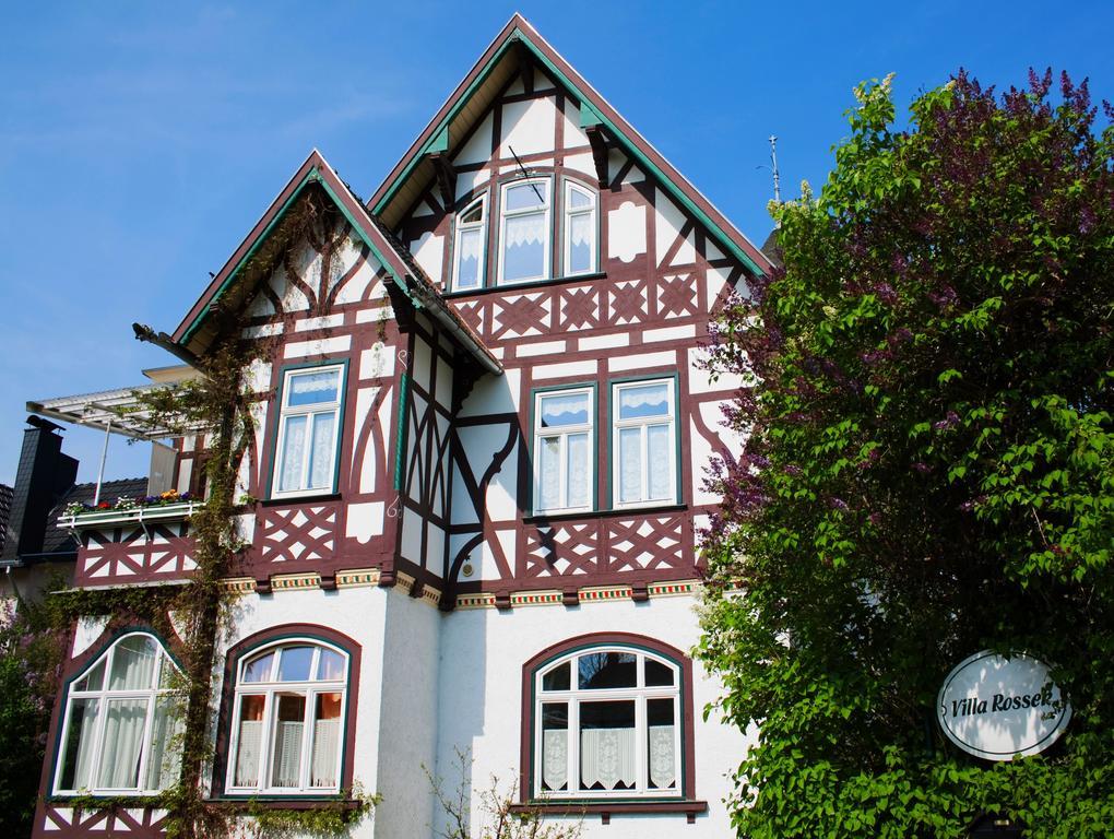 Hotel Villa Rossek Bad Liebenstein Extérieur photo